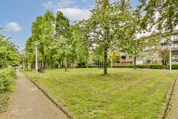 a grassy area in the middle of an urban neighborhood, with trees and buildings on either side of the street