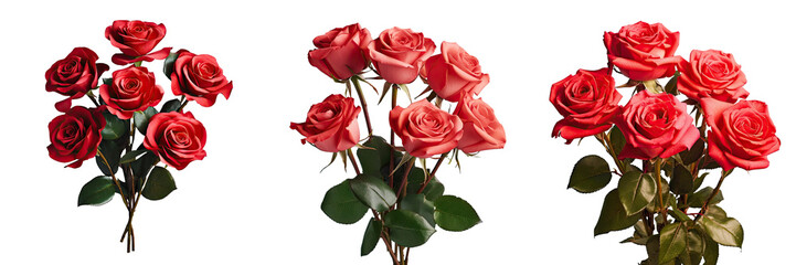 Bunch of red roses symbolizing love and romance isolated on a transparent background for Valentine s Day