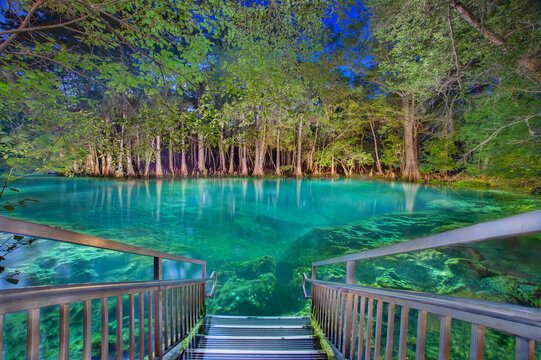 Manatee Springs Illuminated at Night, Levy County, Florida