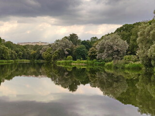Fototapeta na wymiar Metropolitan forest pond