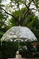 umbrellas in the park