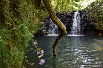 Wasserfall im Turona-Park in Bolsena - obrazy, fototapety, plakaty