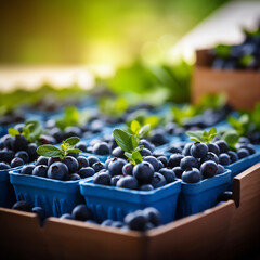 Fresh Blueberries at Farm Market - Generative Ai