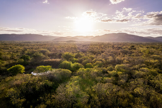 Por do sol na caatinga