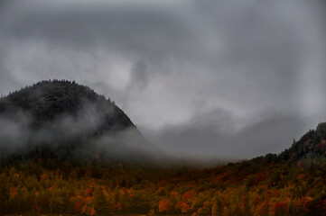 hilly mountains overgrown with autumn colorful forest and foggy haze. autumn mountains in fog.