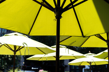 yellow beach umbrellas