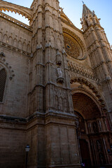 Majestic Mallorca: Cathedral's Gothic Splendor