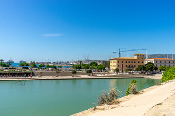 Majestic Mallorca: Cathedral's Gothic Splendor