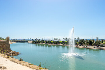 Spain's Sacred Stone: Exterior Glory of Mallorca Cathedral