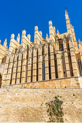 Majestic Mallorca: Cathedral's Gothic Splendor