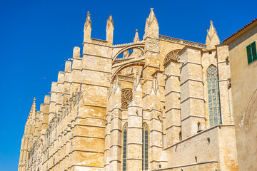 Revel in the captivating views of Mallorca's cathedral, where gothic design meets Balearic beauty...