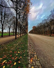 autumn in a park in versailles
