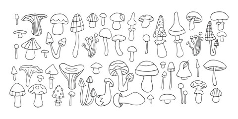 Vector mushroom doodle set, line art fantasy outline forest fungi collection, organic autumn sketch - obrazy, fototapety, plakaty