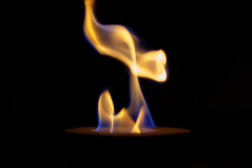 Aufnahme einer Flamme in einer Feuerschale, welches die Form eines Tieres darstellt.