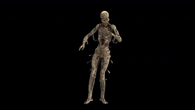 Seamless animation of a mummy dancing salsa isolated with alpha channel. Funny cartoon character for Halloween background.