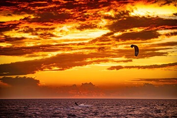 Fototapeta na wymiar kiteboarding during a sunset at the beach