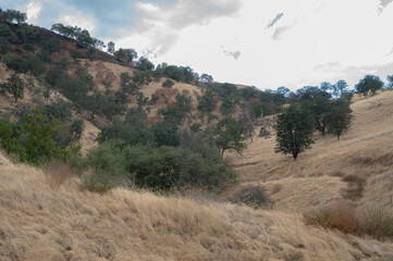 Beautiful Scenery of Tehachapi California

