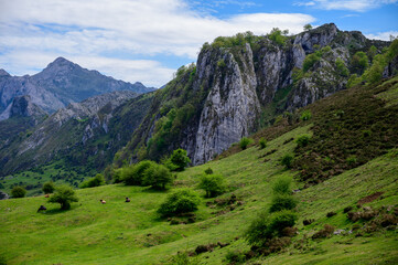 Fototapeta na wymiar View from narrow mountain road from Cangas de Onis, Covadonga to remote mountain lakes Lagos de Covadonga, Picos de Europa mountains, Asturias, North of Spain