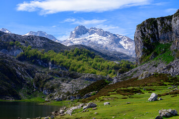 Fototapeta na wymiar Mountain lakes Lagos de Covadonga, Picos de Europa mountains, Asturias, North of Spain