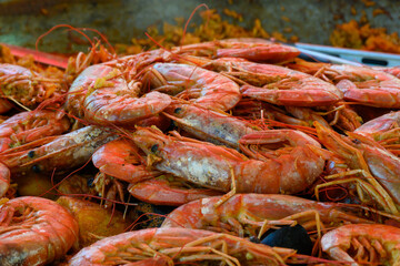 Street food in France, fresh prepared colorful paella with rice and sea food in big pan on street market, ready to eat
