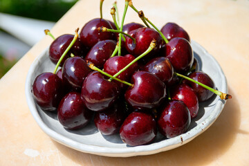 New harvest of fresh ripe dark red cherry berry in Provence, France close up