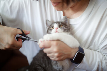 Obraz na płótnie Canvas 爪を切る猫