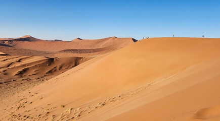 Fototapeta na wymiar Dune 45 Landscape