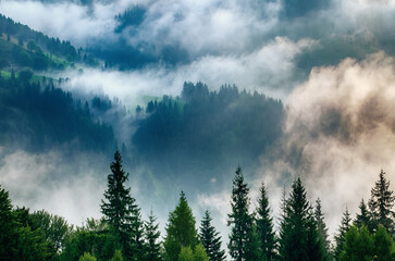 Misty mountain landscape