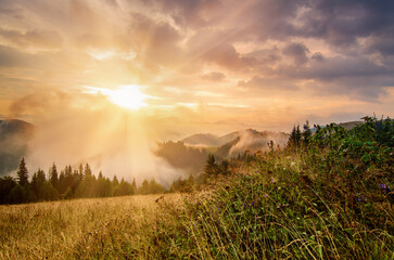 Foggy morning landscape