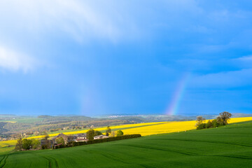 Obraz premium rainbow over the field