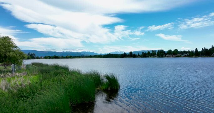 Lynden, Washington State - Wiser Lake Aerial shot above lakeside vegetation