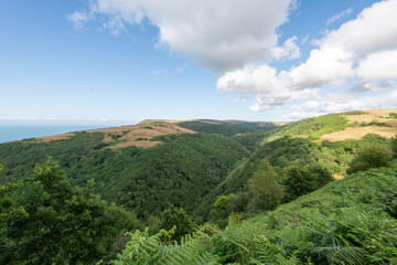 Landscape photo of Countisbury Hill in Exmoor National Park