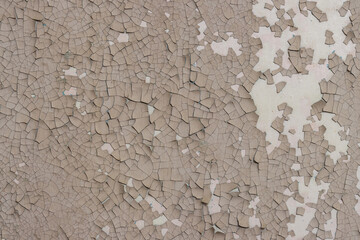Peeling paint on the wall. Old concrete wall with cracked flaking paint. Weathered rough painted surface with patterns of cracks and peeling. High resolution texture for background and design. Closeup