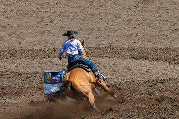 A cowgirl is riding a horse in a rodeo. She is competing in a barrel racing contest. The horse is...