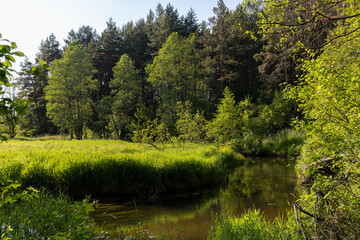 a small river in eastern Europe in the summer