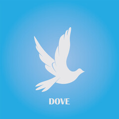 white dove on blue