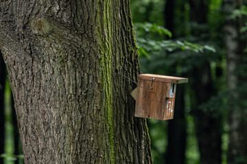 A wooden birdhouse by a tree trunk with the number 174.