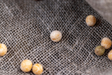 yellow dry peas for cooking porridge
