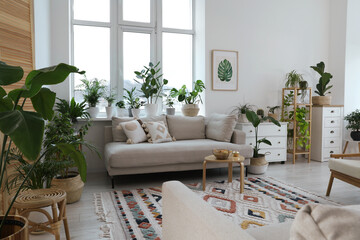 Stylish room with comfortable sofa and beautiful houseplants. Interior design
