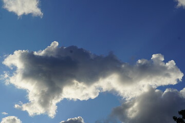 blue sky and white clould