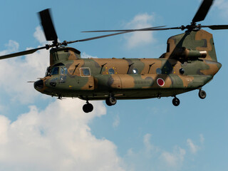 Fototapeta na wymiar 陸上自衛隊の輸送ヘリコプターCH-47JAチヌーク