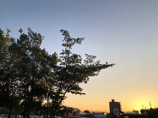 200820イオン夕日農道

山形市馬見ヶ崎
イオン
夕日
駐車場