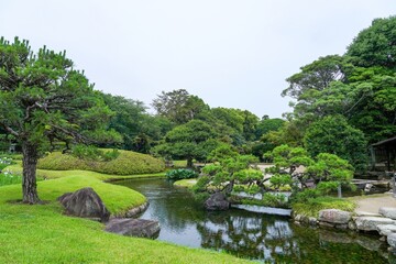 きれいに手入れされた日本庭園で見た見事な形の松