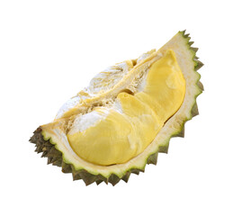 Fresh cut Durian which is king of fruit from Thailand isolated transparent png