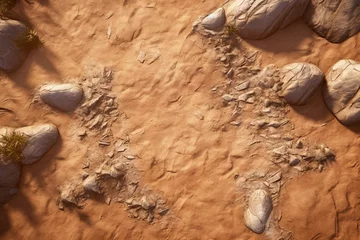 Foto op Plexiglas Aquarel doodshoofd  dinosaur footprints on the ground 3d rendering elements