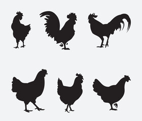 isolated black silhouette of a chicken , vector collection	