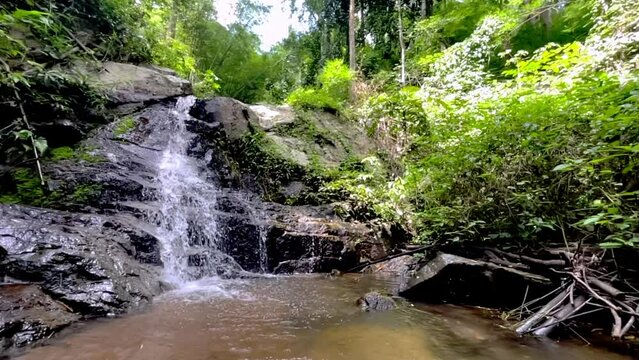 waterfall slow motion in forest nature background