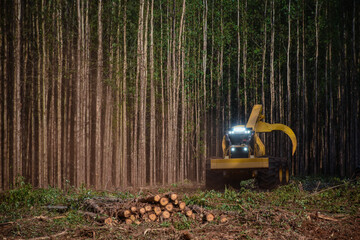 Fototapeta na wymiar logging equipment forest machine