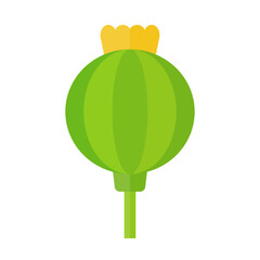Flat design opium icon. Vector.