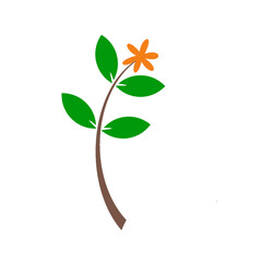 illustration of a green leaf